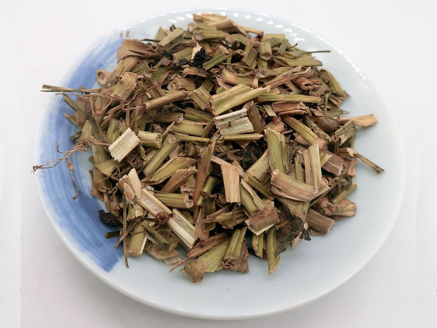 龍葵